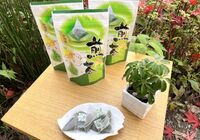 煎茶ティーパック５