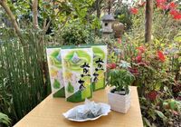 煎茶ティーパック６