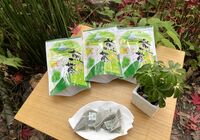 煎茶ティーパック１