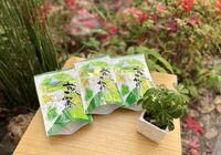 煎茶ティーパック２