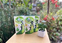煎茶　ティーバック　5g×12パック入